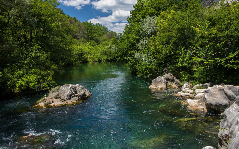 Wald und Seelandschaft in Dalmatien